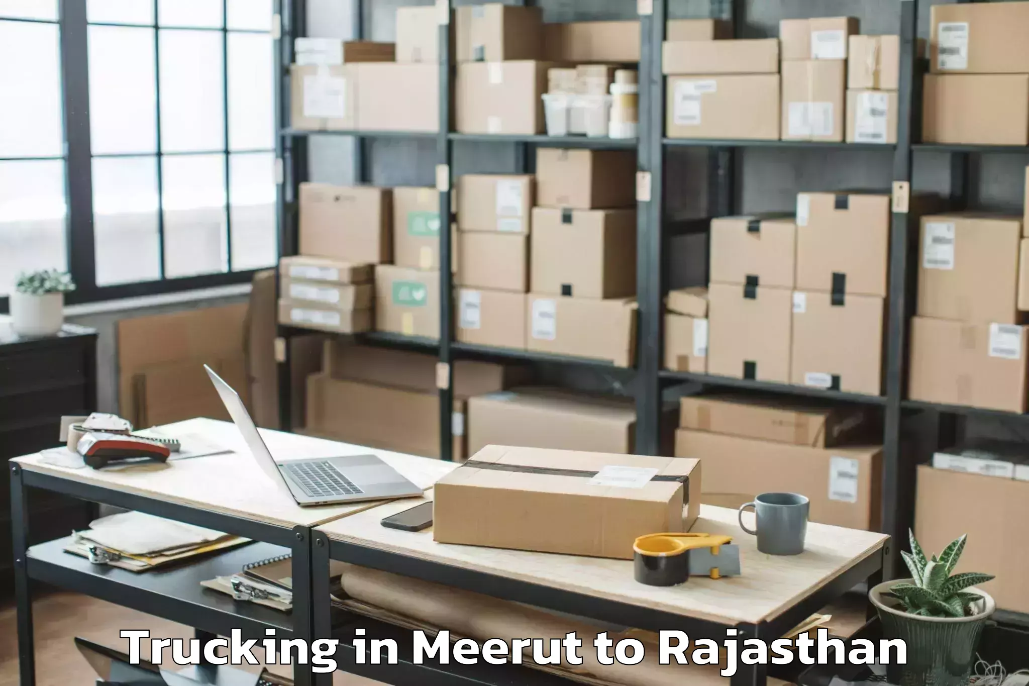 Book Meerut to Bijaipur Trucking Online